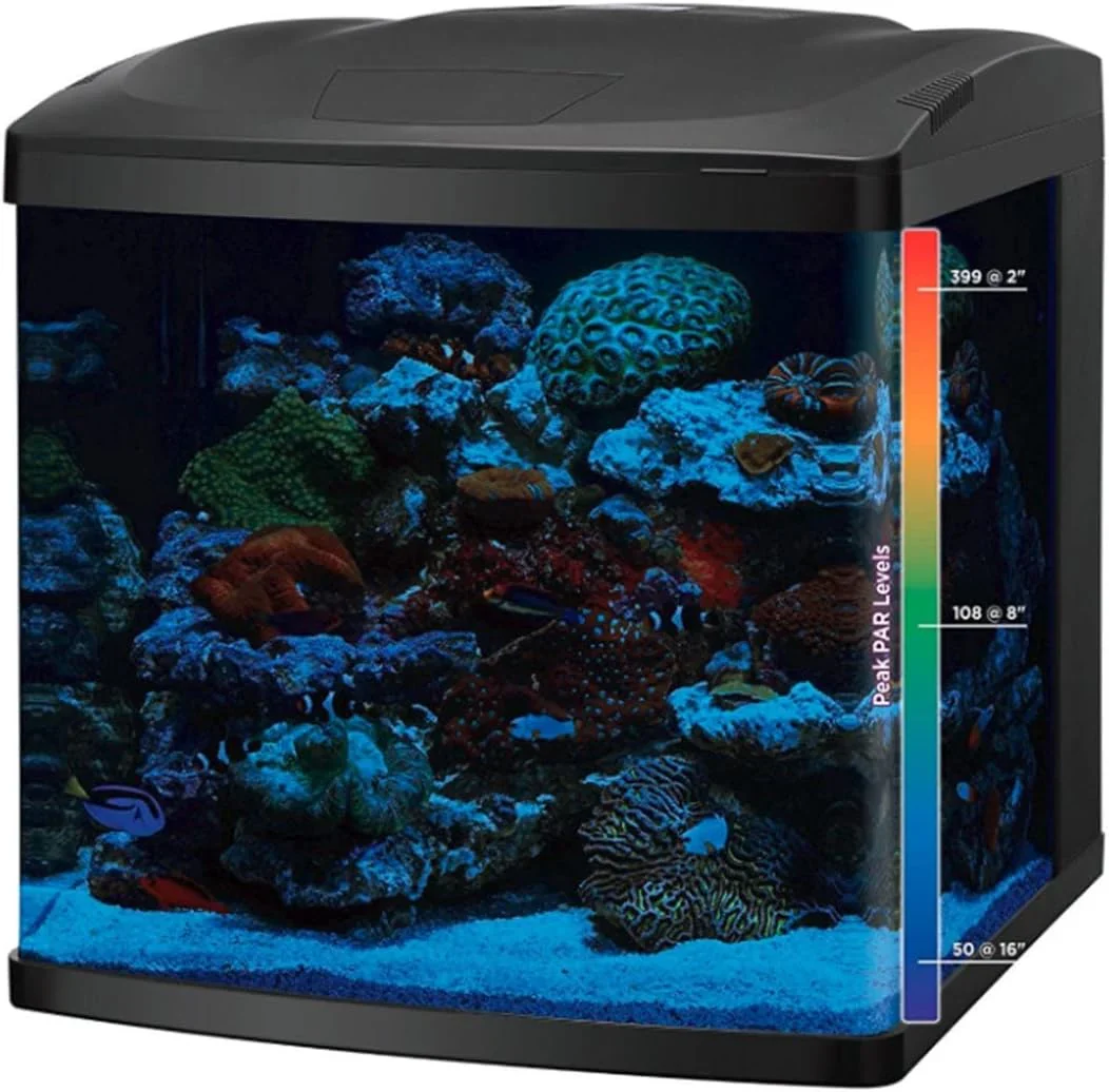 LED Tanks and Combo Kits (32 Gallon Tank/Stand Kit) - Image 4