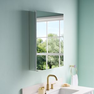 WELLFOR Ravo Medicine Cabinets 24-in x 30-in Surface/Recessed Mount Anodized Chrome Mirrored Rectangle Soft Close Medicine Cabinet