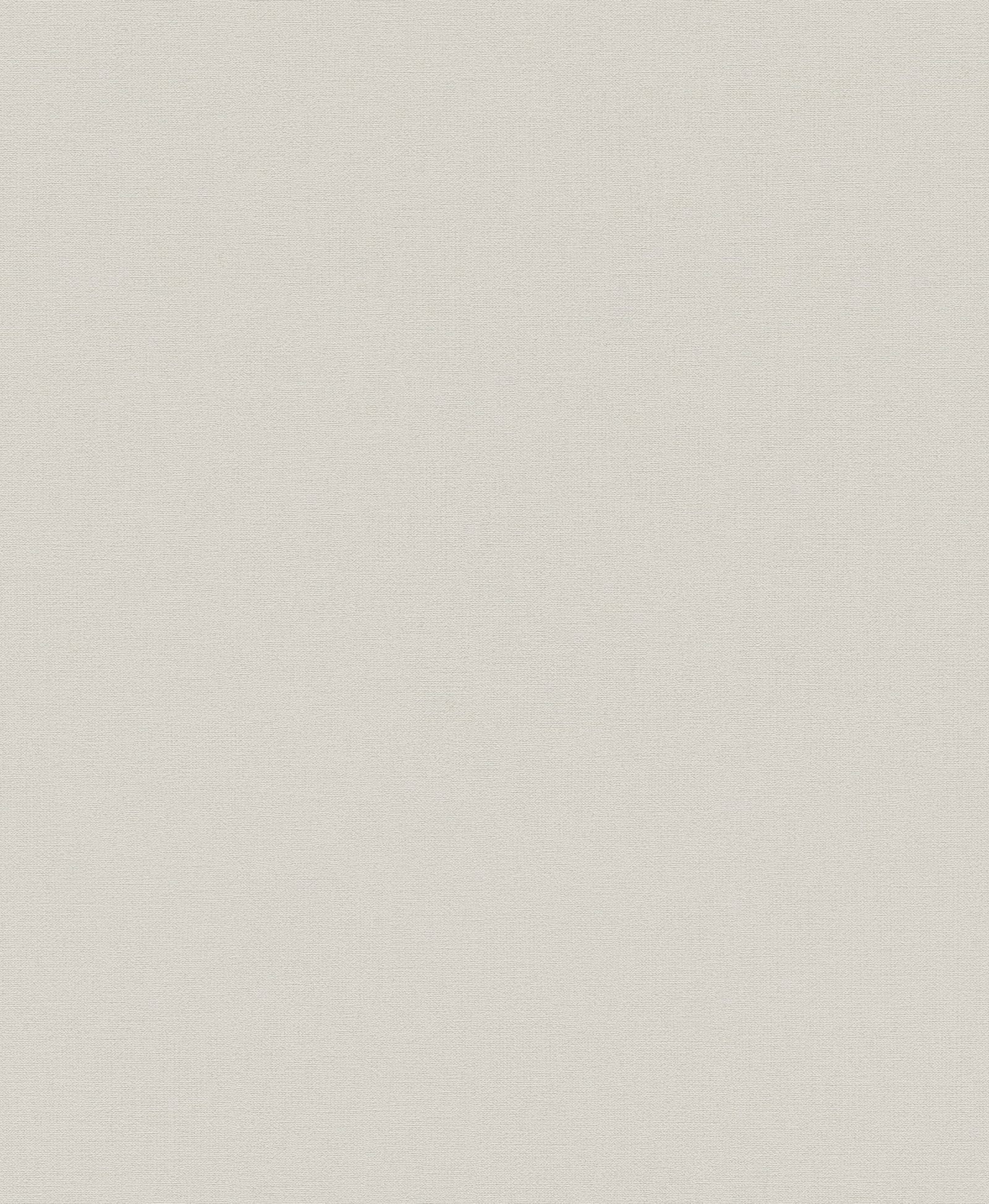 Galerie Style Sisters Plain Texture Beige Wallpaper SS21240