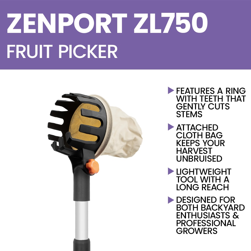 Zenport Adjustable Fruit Picker Tool - Image 4