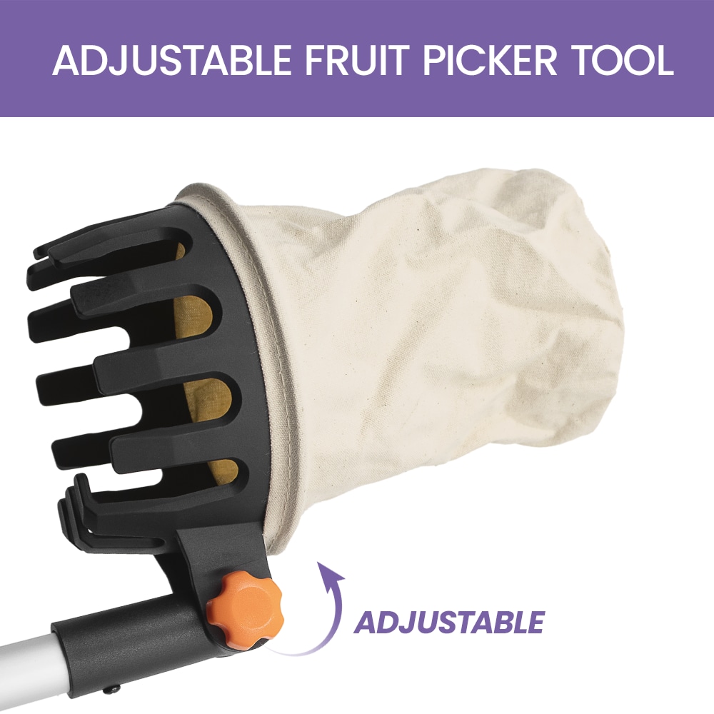 Zenport Adjustable Fruit Picker Tool - Image 3