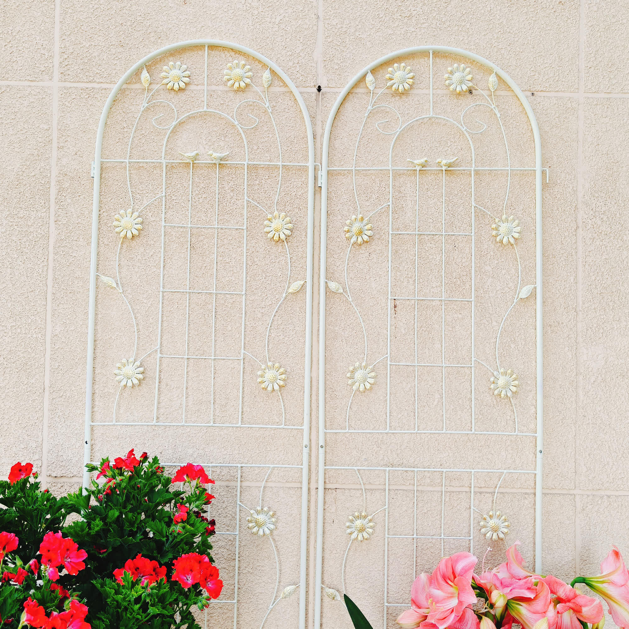 Aoibox 4 Pack Metal Garden Trellis 71 inch High 19.7 inch Wide Rustproof Outdoor Trellis for Climbing Plants Flower Support Cream White - Image 5