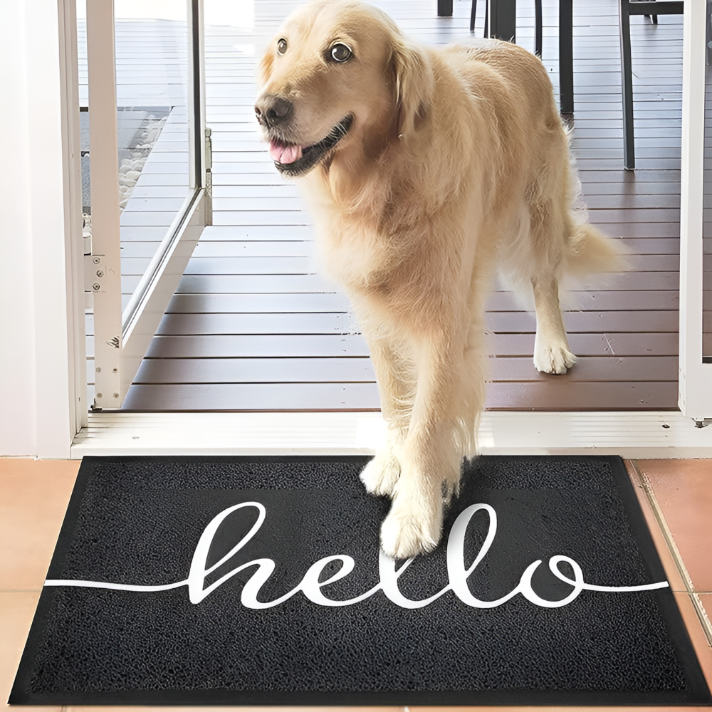 Door Mat Low-Profile Dirt-Trapping Non-Slip Rubber Backing - Image 4